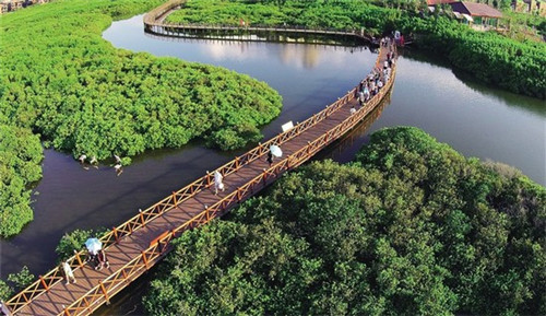 壹锅蒸能量蒸汽石锅鱼