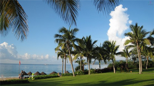 鱼太吉小份烤鱼