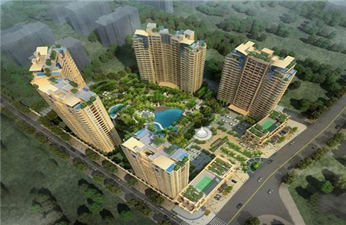 铁蛋鸡汤刀削面