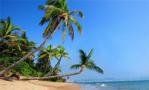 汤火功夫麻辣烫