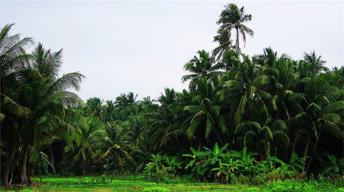 福建甜品店加盟费多少钱