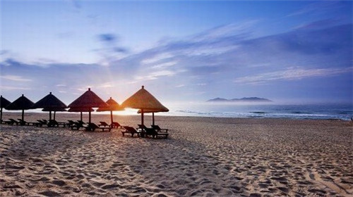 迪克迪楼盘户型（迪克物业官网）